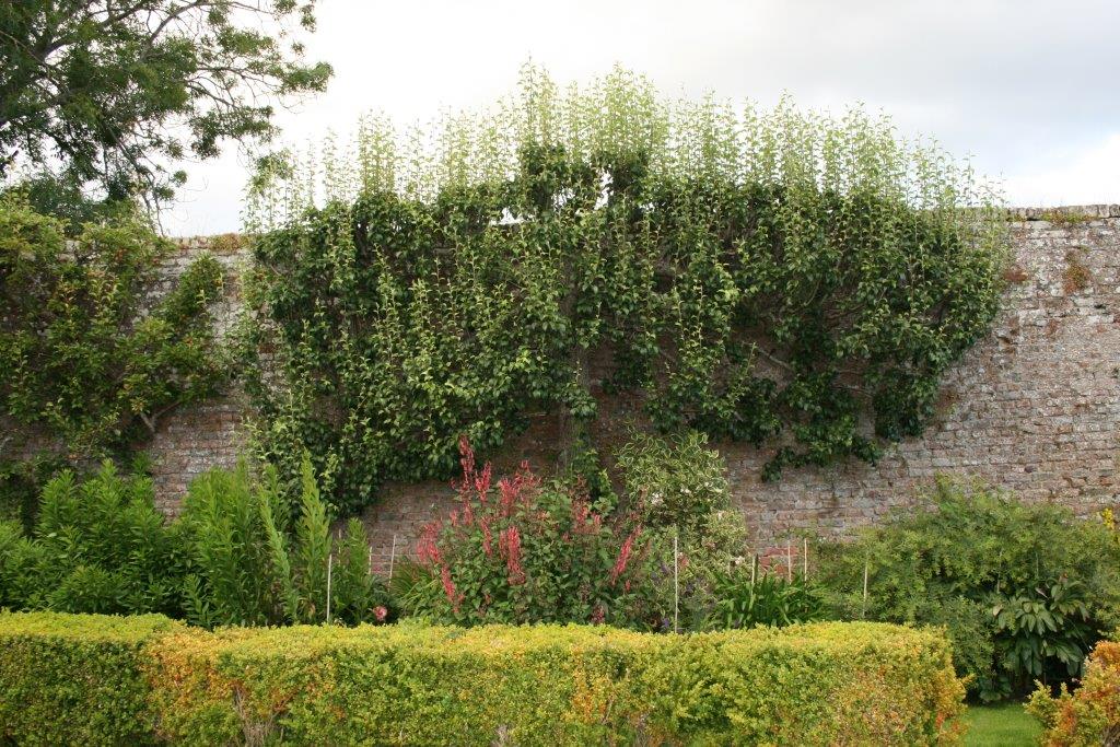 Langley Park Gardens